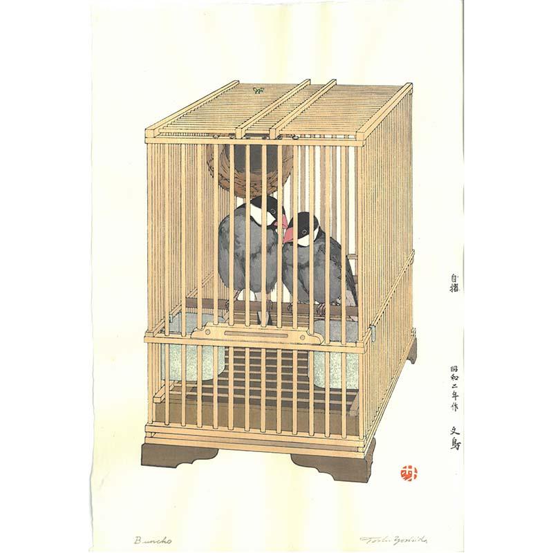 最安値に挑戦 文鳥 Buncho 早割クーポン Tv Creativetalentnetwork Com