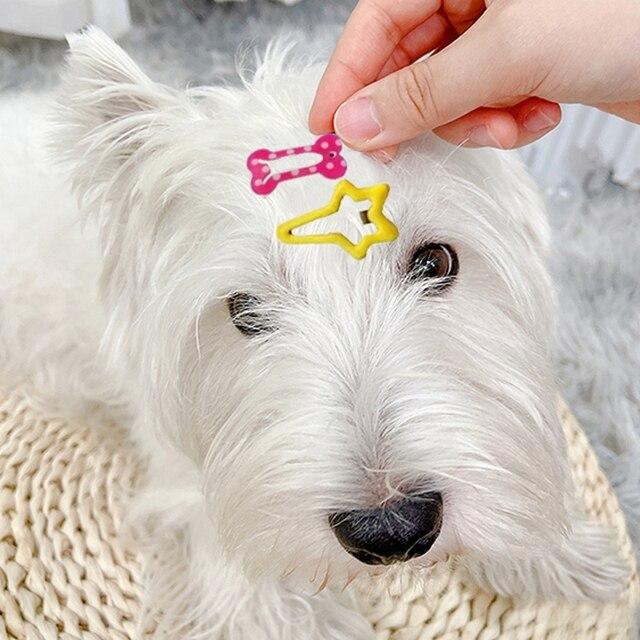 ペットのヘアクリップ,犬の骨,ヘアクリップ,グルーミングアクセサリー,子犬の毛の装飾,ランダムな色のペット用品｜itemselect｜08