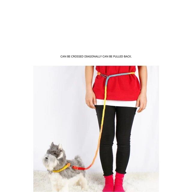 犬の輪ゴム,手作りの綿ロープ250cm,いくつかの色,青,中,小さい,大きいサイズの犬のトレーニング｜itemselect｜13