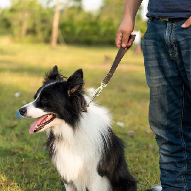 犬用の本革ベルト,超微細犬用リード,トレーニングアクセサリー,パッド入りハンドル付き,大｜itemselect｜08