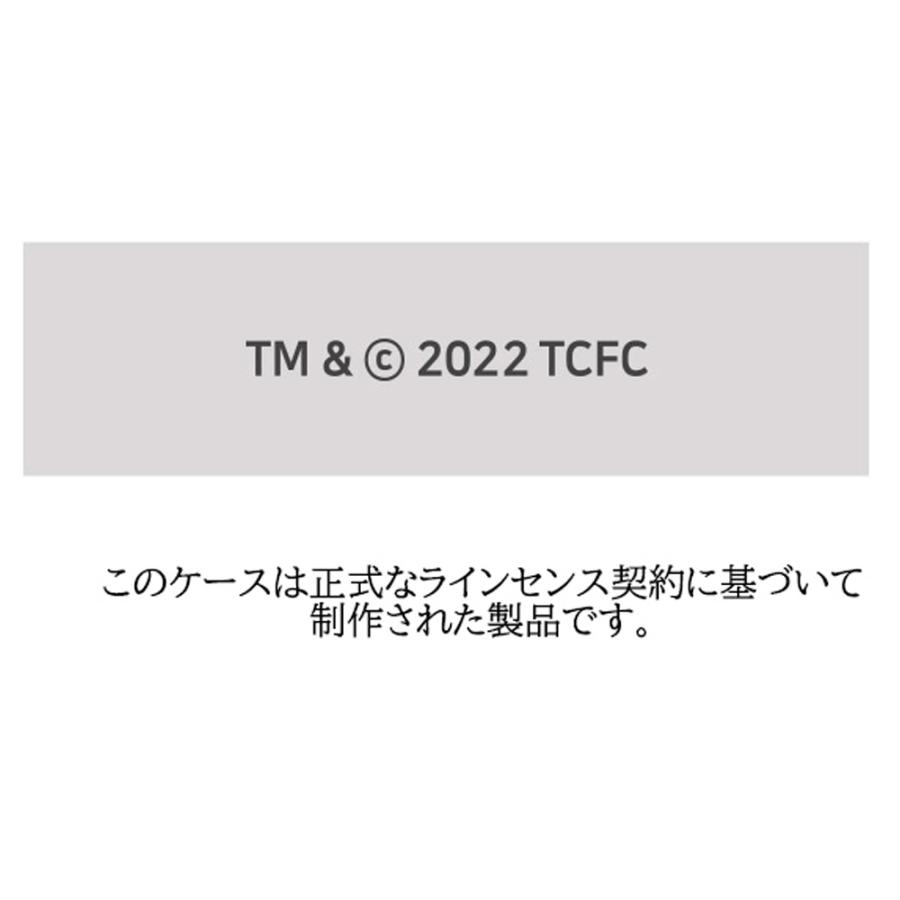 Galaxy S23 Ultra ケース カード Care Bears ケアベア Galaxyケース 耐衝撃 韓国 正規品 SCG19 SCG20 SC-51D SC-52D ギャラクシー Samsung 韓国｜itfriends｜24