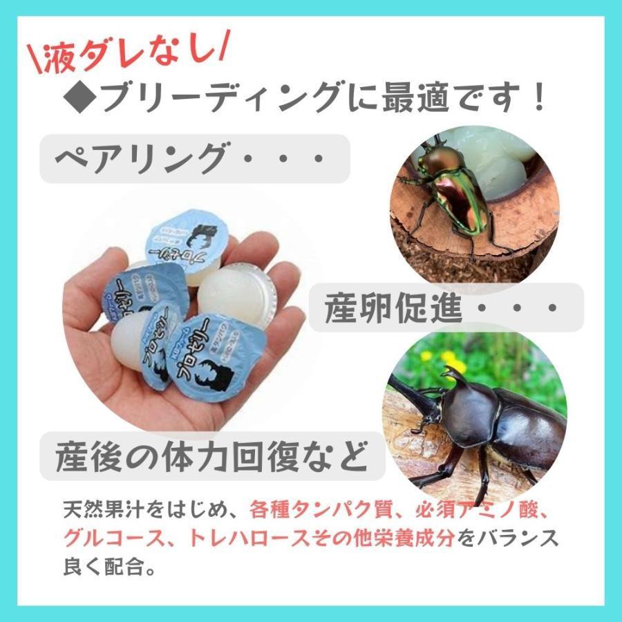 昆虫ゼリー プロゼリー KBファーム 16g 100個 (16g50個パックx2袋