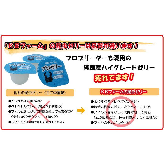 【送料無料】 KBファーム プロゼリー 16ｇ 1000個 純国産 昆虫ゼリー 昆虫ゼリー プロゼリー 16g 30個 KBファーム バナナ風味 高