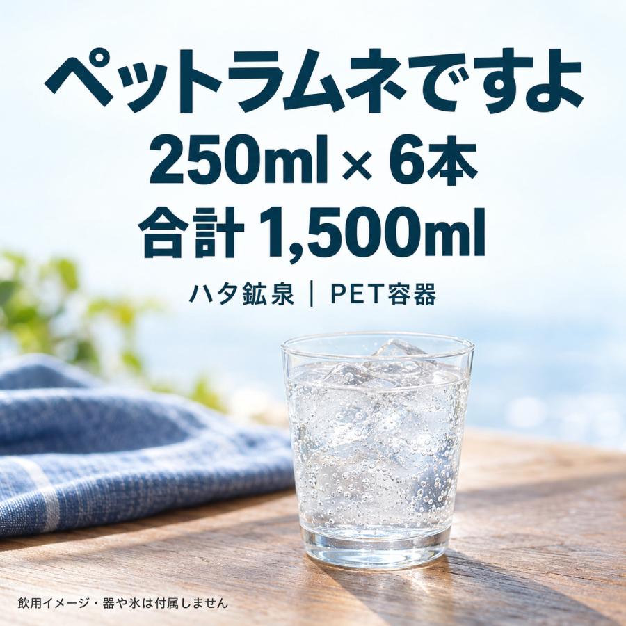 ハタ鉱泉 ペットラムネですよ 250ml (コスパ良し)6本セット／PETラムネ
