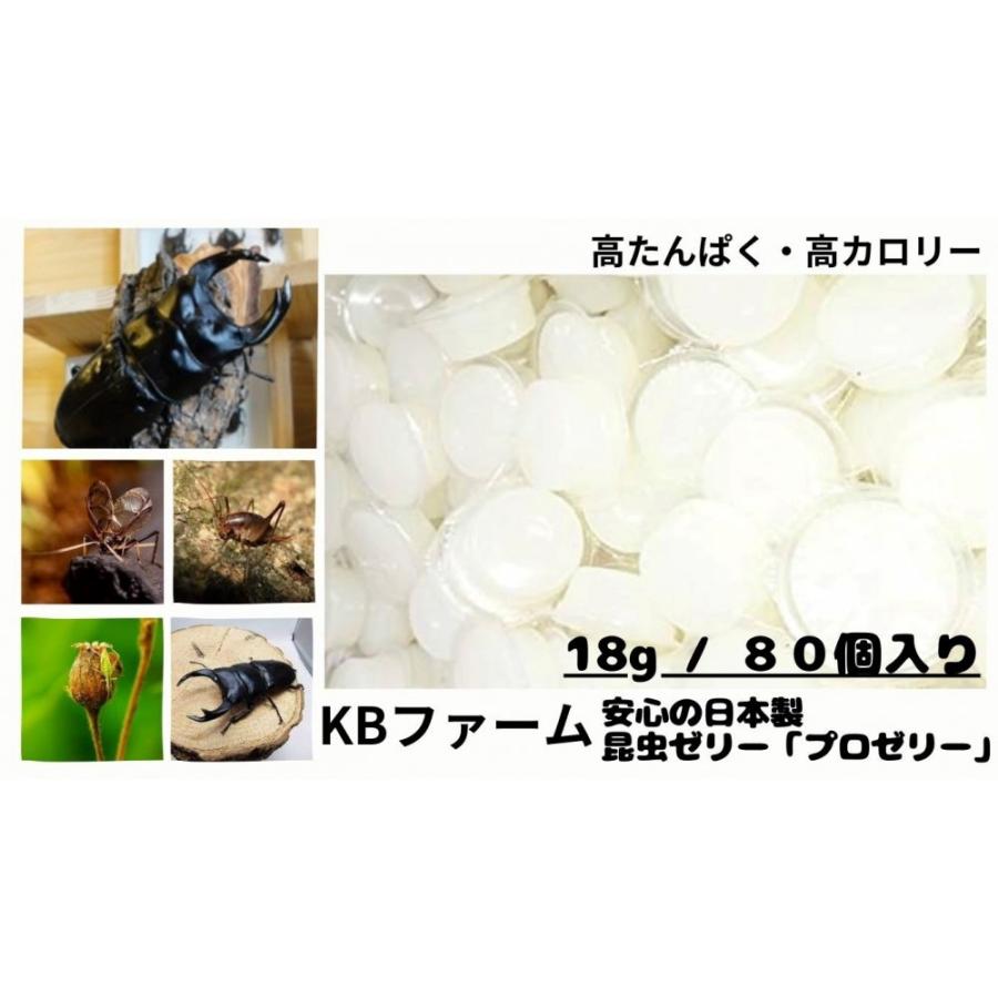 昆虫ゼリー プロゼリー 80個 クワガタゼリー KBファーム (18gワイド80個) の商品画像