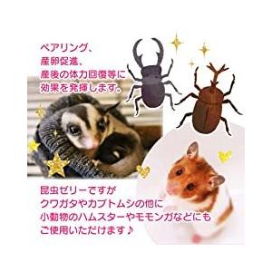 昆虫ゼリー プロゼリー 80個 クワガタゼリー KBファーム (18gワイド80