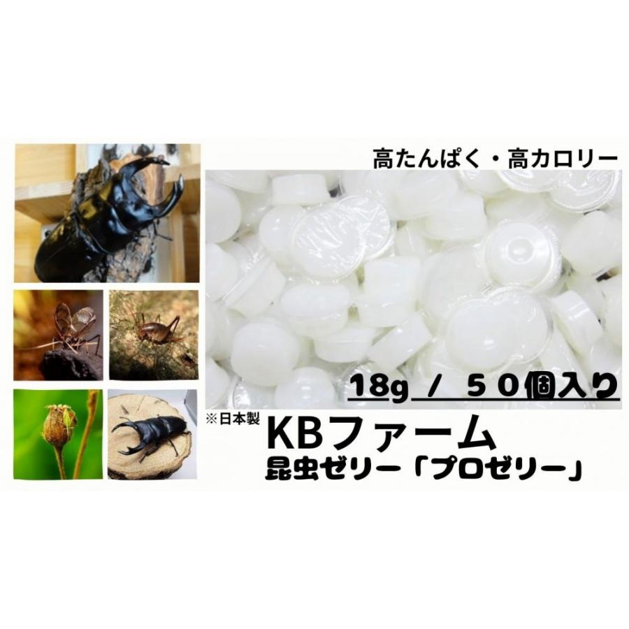 昆虫ゼリー プロゼリー 18g KBファーム (18g50個) クワガタゼリー カブトムシ ゼリー エサ 餌（Yahoo!・一期一会ヤフー店）