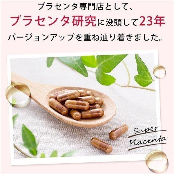 母の滴 スーパープラセンタ サプリ プラセンタEX for MEN (30日分 60粒