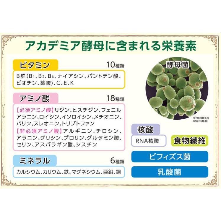 アカデミア酵母 60包 生きてる酵母 ビタミン ミネラル アミノ酸  