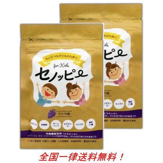 再再販 セノッピーグミ 90g 3g×30粒 ブドウ味 成長 栄養補給 2袋セット aynaelda.com