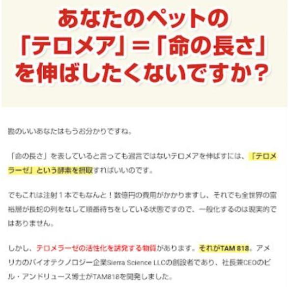 ペッタム 寿命のびーる ペット用テロメア 2個セット :202110201 ペッタム 寿命のびーる ペット用テロメア 2個セット :202110201