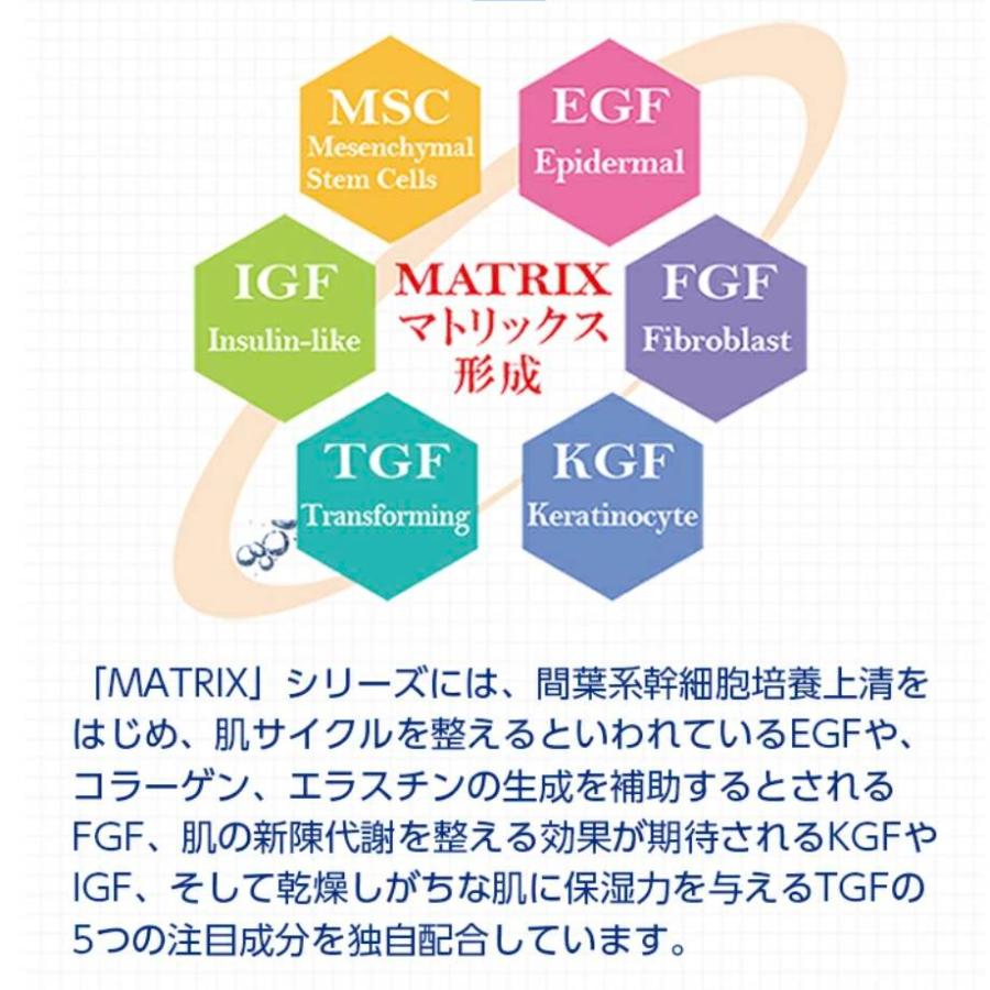 マトリックス スキンケアソープ 洗顔石鹸 DDS MATRIX 80g : 一期一会