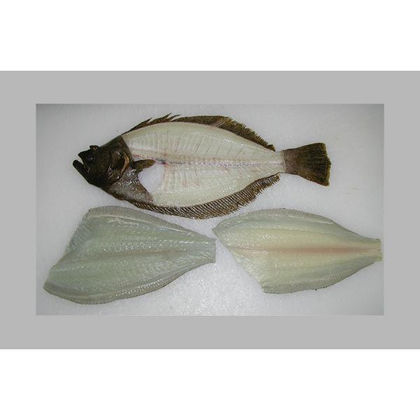 ひらめ ヒラメ 平目 鮃約400g養殖三枚おろし三重県産 Hirame 007 伊東活魚yahoo 店 通販 Yahoo ショッピング