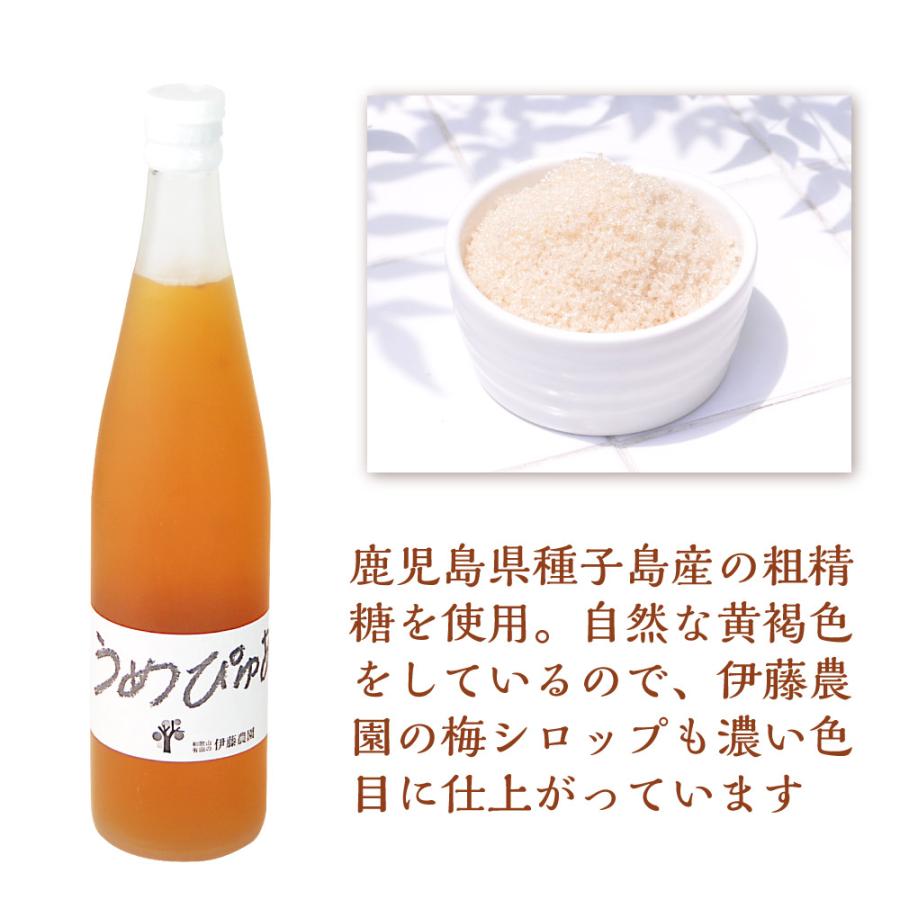 自然の美味しい梅ジュースの素（梅シロップ)x10 自然の美味しいウメジュースの素 梅ジュース 梅シロップ 【公式通販】