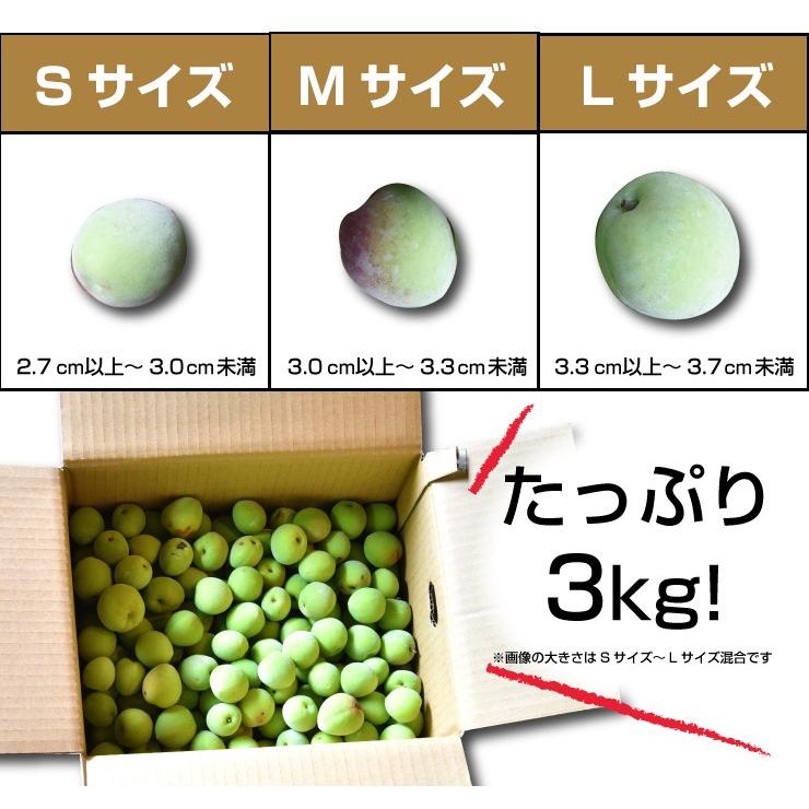 梅　青梅　家庭用　15kg 71JmEOOrpRL._AC_SY200_QL15_.jpg