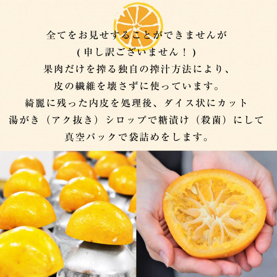 お中元 21 みかん ピール ダイスカット フルーツ 果物 果皮 糖漬け 100g ケーキ スイーツ 材料 無添加 国産 和歌山産 1601 5ds 伊藤農園 ジュースと果実 Yahoo 店 通販 Yahoo ショッピング