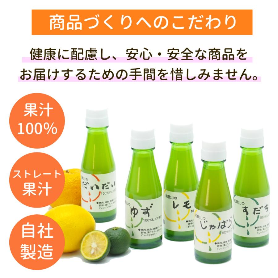 伊藤農園 レモン果汁 100% 100ml お試し ポイント利用 ストレート