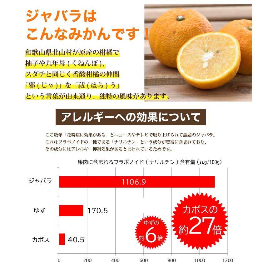 じゃばら 果汁 100 100ml 10本セット 花粉症 対策 予防 果皮 ジャバラ 果汁 ナリルチン 送料無料 ギフト母の日 父の日 235 10 伊藤農園 ジュースと果実 Yahoo 店 通販 Yahoo ショッピング