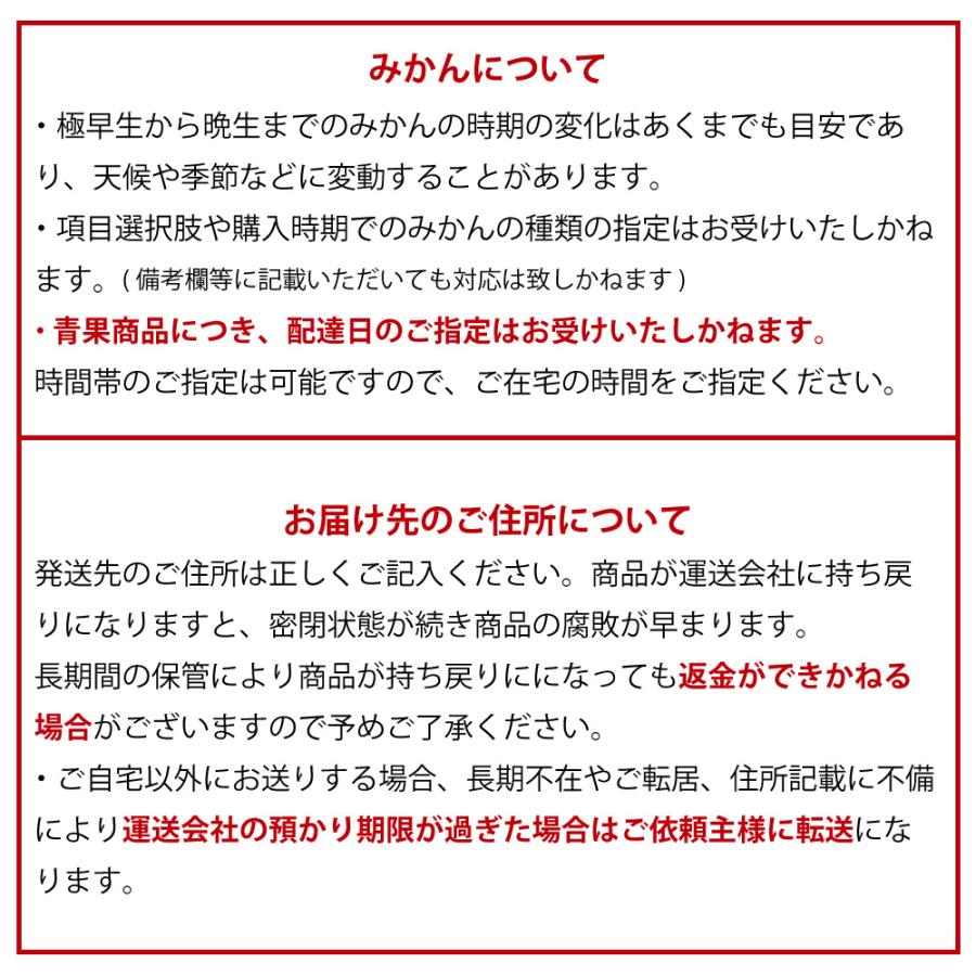 みかん 10kg 訳あり 小粒 中粒 大粒 ミックス 不ぞろい 家庭用 ミカン 果物 フルーツ 和歌山産 お年賀｜ito-noen｜16