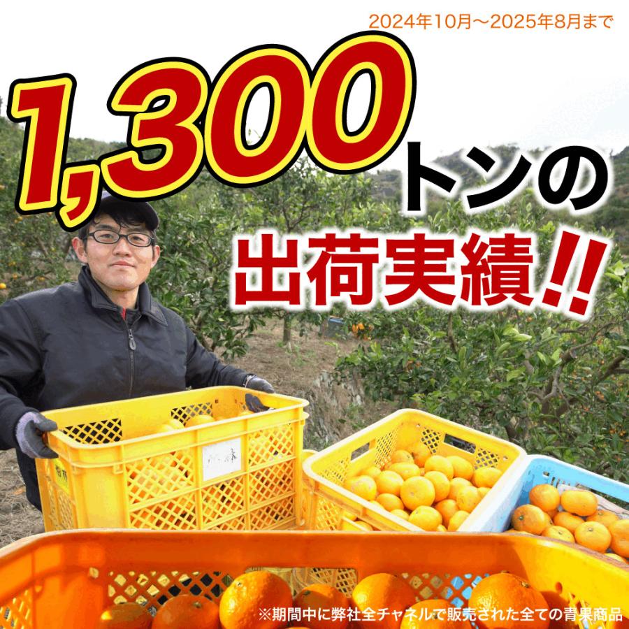 伊藤農園 みかん 訳あり小玉 2.5kg 5kg 分買うと送料無料 3箱買うと
