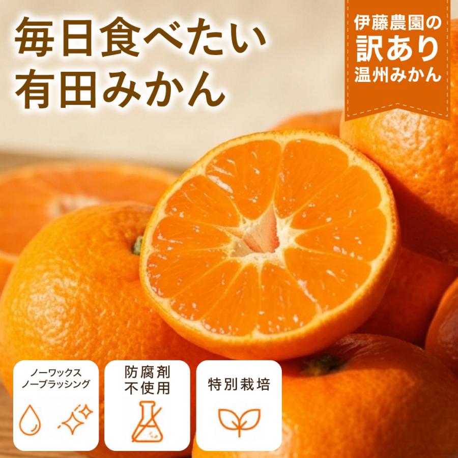伊藤農園 みかん 訳あり小玉 2.5kg 5kg 分買うと送料無料 3箱買うと