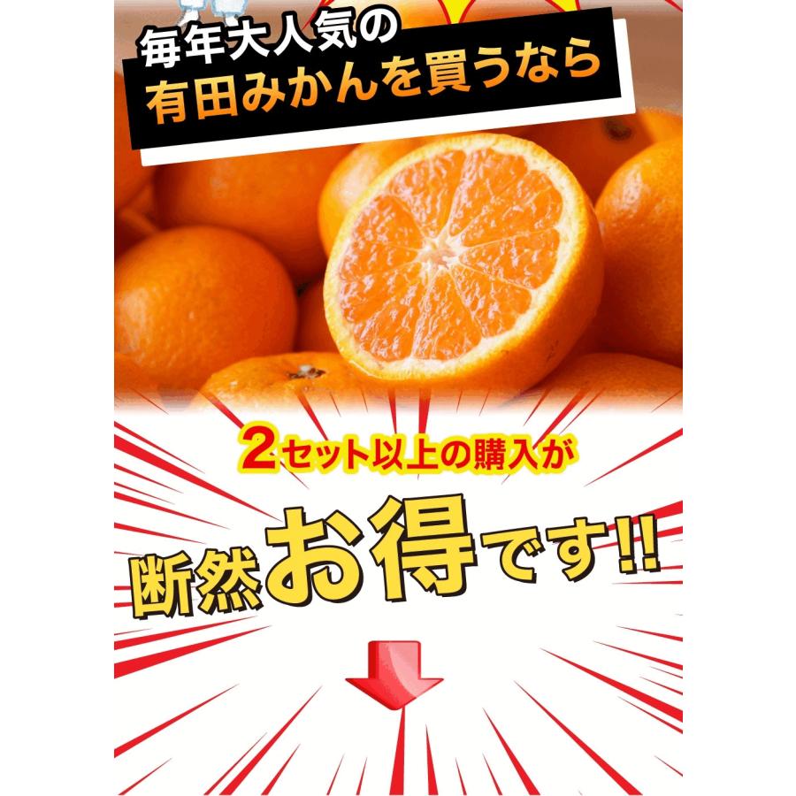 伊藤農園 みかん 訳あり小玉 2.5kg 5kg 分買うと送料無料 3箱買うと