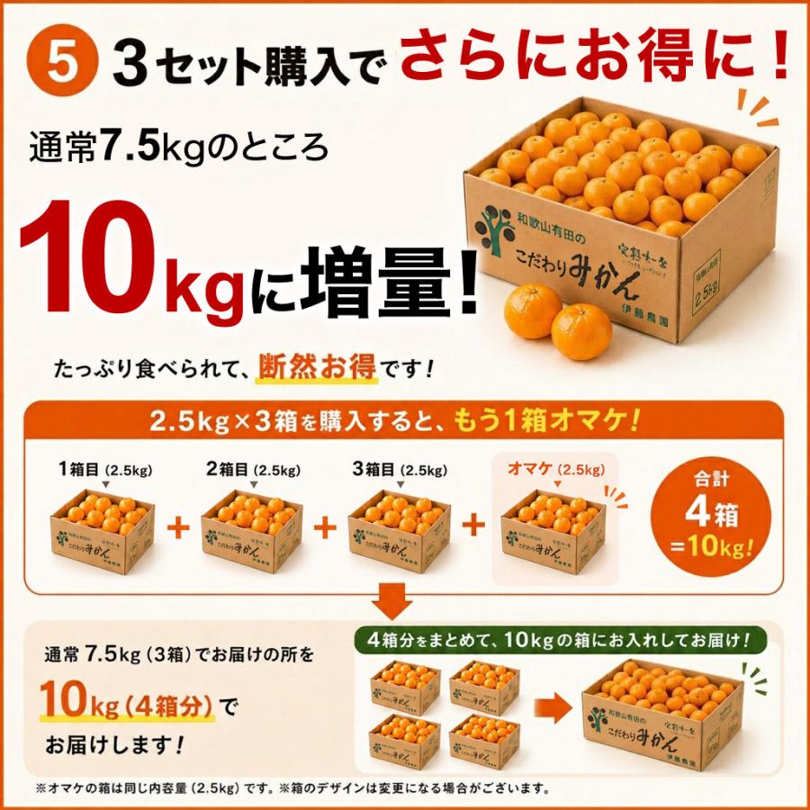 伊藤農園 みかん 訳あり小玉 2.5kg 5kg 分買うと送料無料 3箱買うと