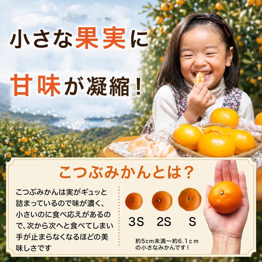 伊藤農園 みかん 訳あり小玉 2.5kg 5kg 分買うと送料無料 3箱買うと