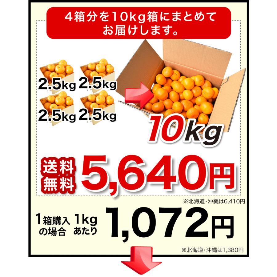 みかん様♡ありがとうございます♡ 伊藤農園 みかん 訳あり小玉 2.5kg 5kg 分買うと送料無料 3箱買うと