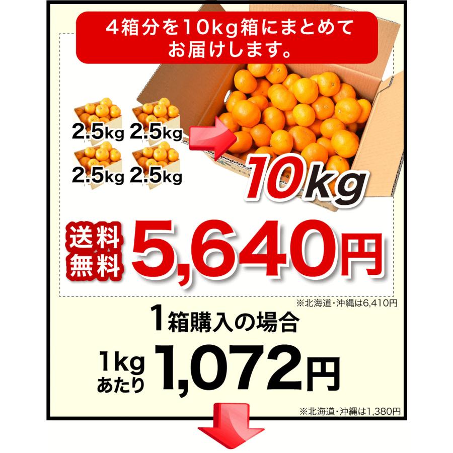 伊藤農園 みかん 訳あり小玉 2.5kg 5kg 分買うと送料無料 3箱