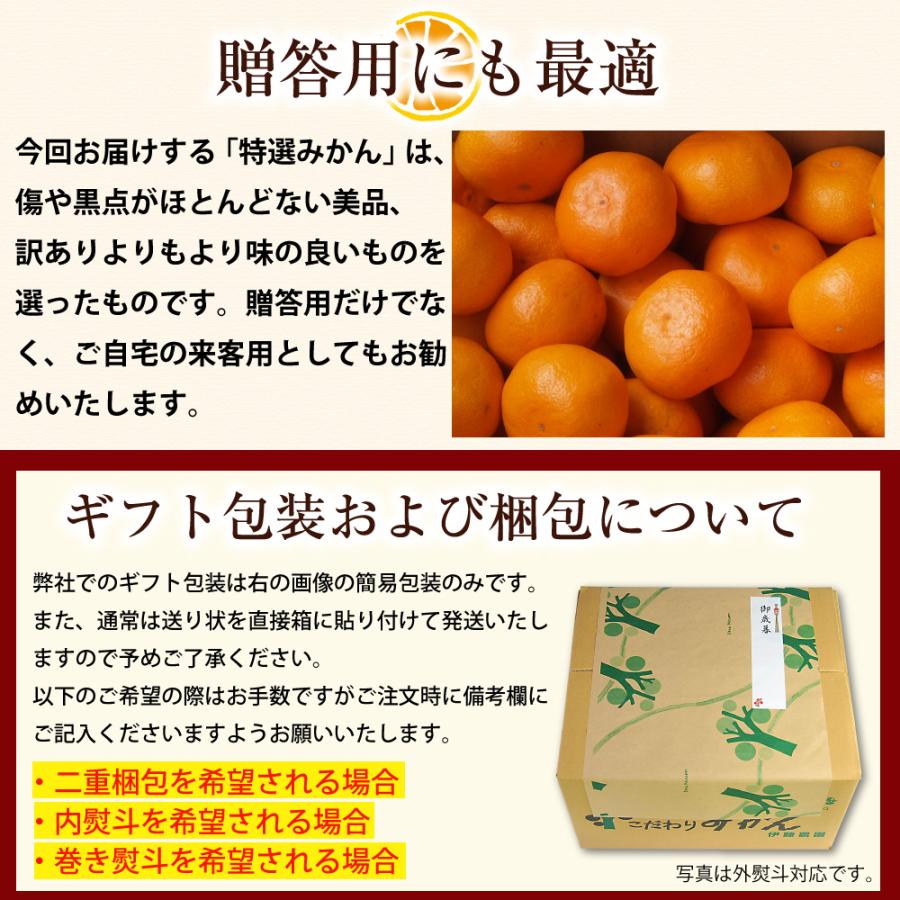 伊藤農園 みかん 5kg 送料無料 有田みかん S Mサイズ 贈答用 小粒 中粒