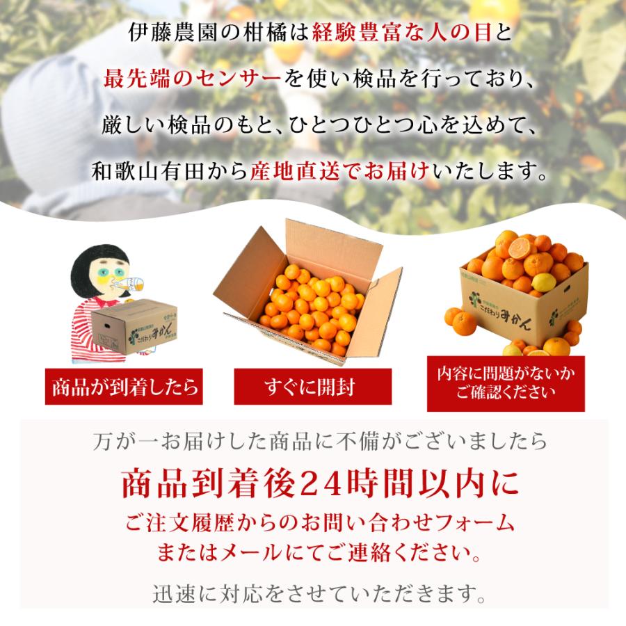 伊藤農園 みかん 5kg 送料無料 有田みかん S Mサイズ 贈答用 小粒 中粒