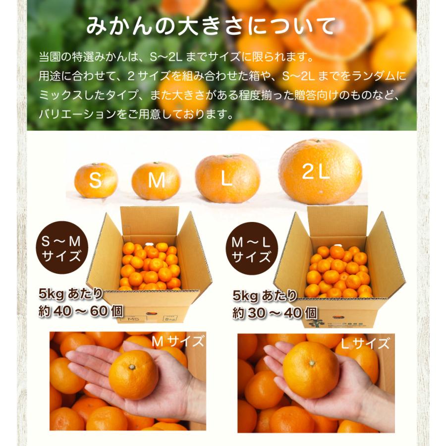 伊藤農園 みかん 2.5kg 中玉 大玉 Sサイズ〜2Lサイズ ミックス 有田
