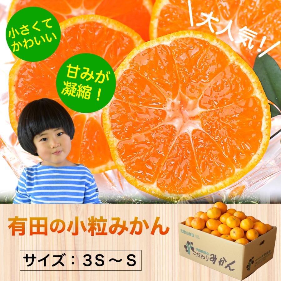 伊藤農園 みかん 5kg 訳あり 有田みかん 温州みかん 自宅用 小玉 伊藤農園 みかん 5kg 訳あり 有田みかん 温州みかん 自宅用 小玉