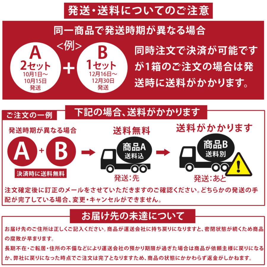 伊藤農園 みかん 訳ありみかん 小粒 10kg 訳あり 送料無料 小粒 和歌山