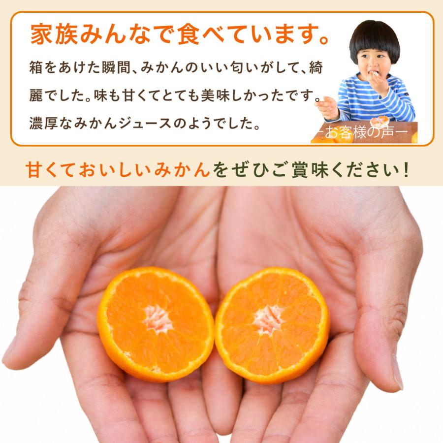 伊藤農園 みかん 訳ありみかん 小粒 10kg 訳あり 送料無料 小粒 和歌山