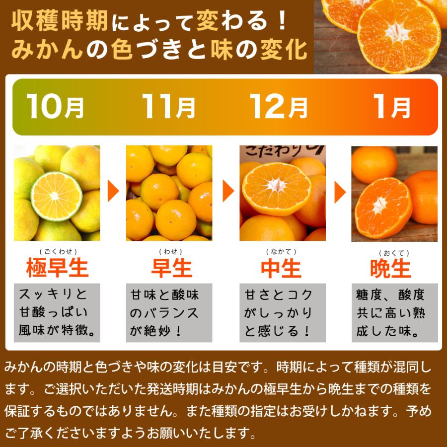 みかん 訳あり 10kg 小玉 送料無料 小粒 和歌山 家庭用 箱買い ご当地 お取り寄せ 小さい :311-8-2:伊藤農園 ジュースと果実 Yahoo!店 - 通販 - Yahoo!ショッピング みかん 訳あり 10kg 小玉 送料無料 小粒 和歌山 家庭用 箱買い ご当地 お取り寄せ 小さい :311-8-2:伊藤農園 ジュースと果実 Yahoo!店 - 通販 - Yahoo!ショッピング
