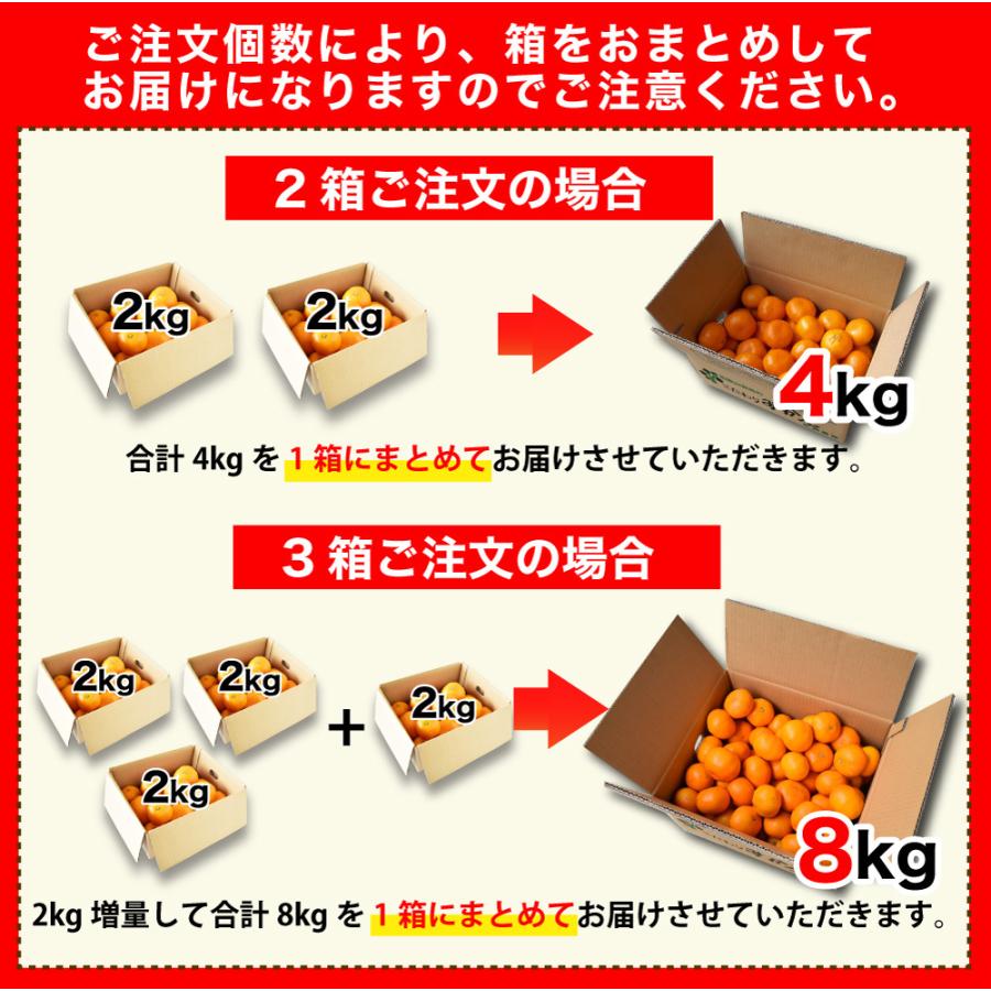 みかん 訳あり 2kg 2箱買うと送料無料 3箱買うと2kg増量 極早生 有田 家庭用 ミカン 果物 フルーツ 和歌山産 お歳暮 御歳暮 冬ギフト 311 824 2 伊藤農園 ジュースと果実 Yahoo 店 通販 Yahoo ショッピング