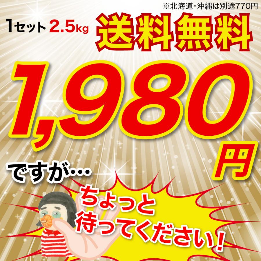 みかん 訳あり 2.5kg 2箱買うと送料無料 3箱買うと1箱分増量 極早生 