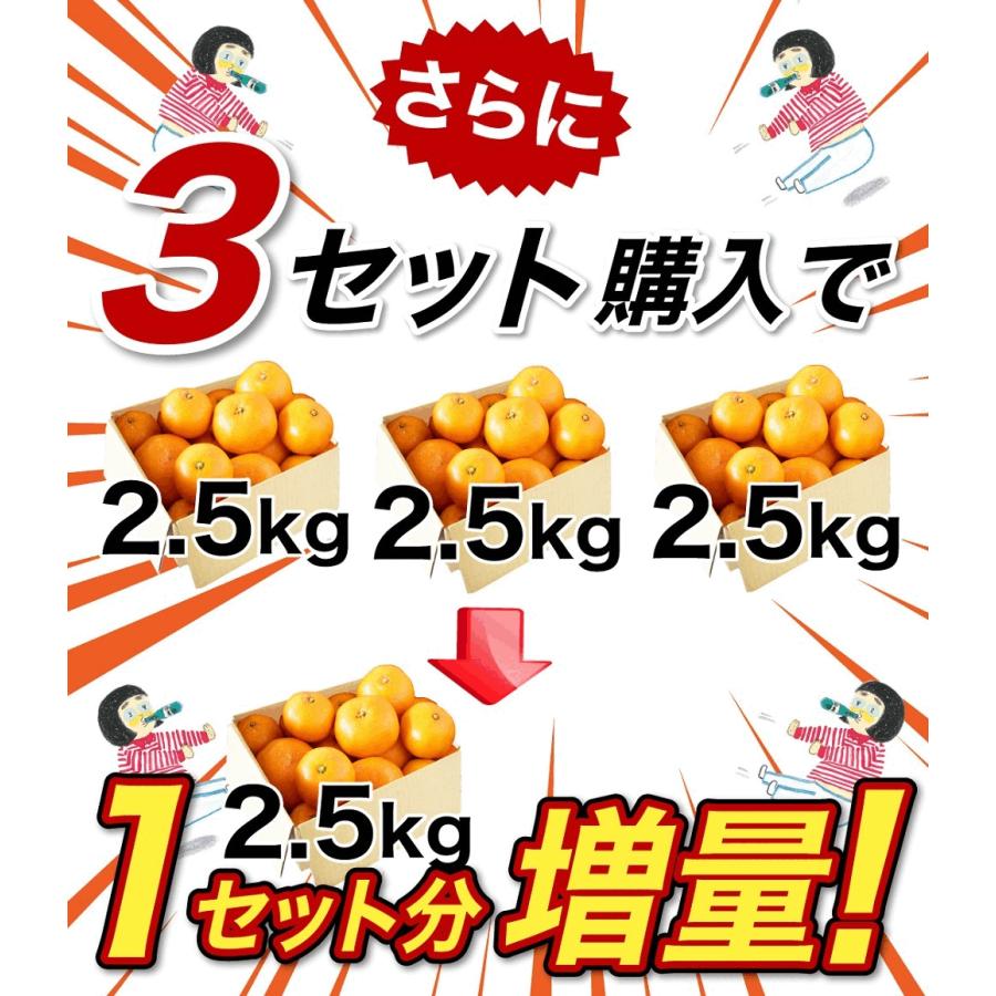 伊藤農園 みかん 訳あり 2.5kg 5kg 分買うと送料無料 3箱買うと