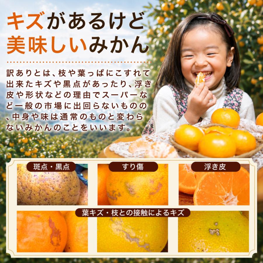 伊藤農園 みかん 訳ありみかん 小粒 大粒 2.5kg 5kg 送料無料 3箱買う