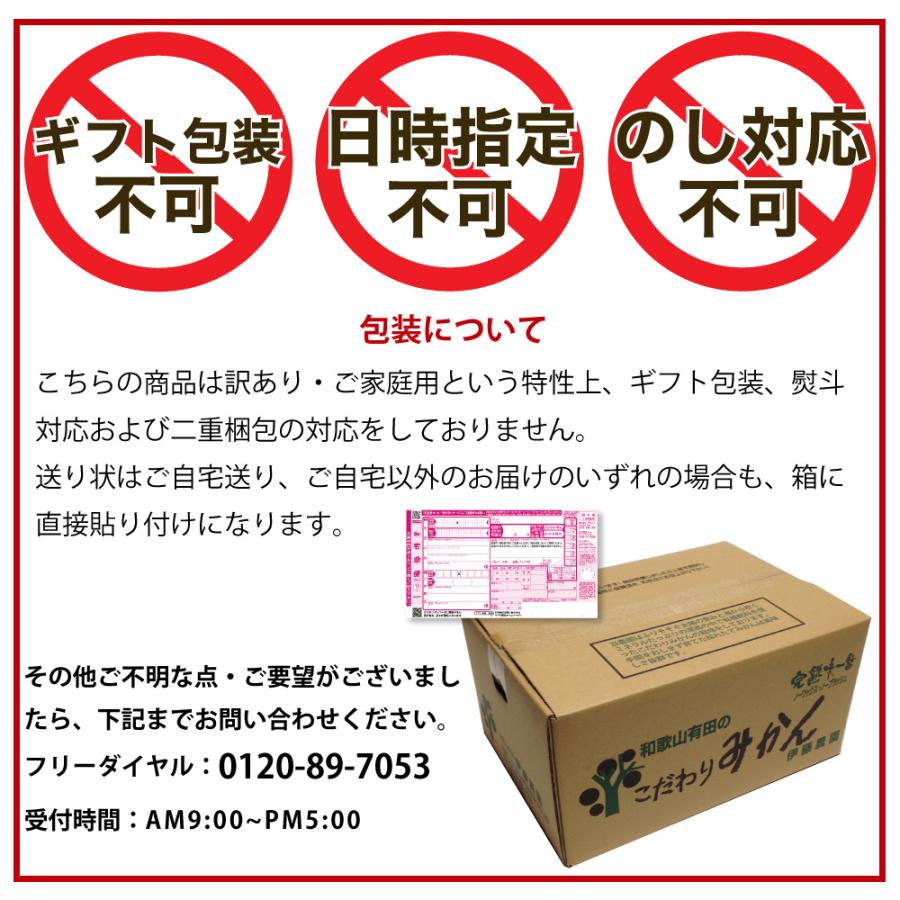 みかん 5kg 訳あり フードロス 小粒 中粒 大粒 ミックス 不ぞろい 和歌山 有田 家庭用 ミカン 果物 フルーツ お年賀｜ito-noen｜17