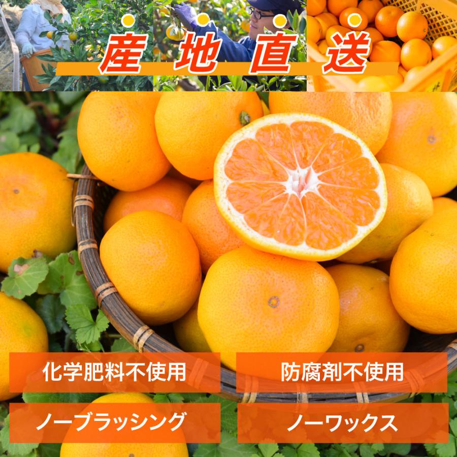 みかん 5kg 訳あり 小粒 中粒 大粒 ミックス 不ぞろい 和歌山 有田 家庭用 ミカン 果物 フルーツ :311-9:伊藤農園 ジュースと果実 Yahoo!店 - 通販 - Yahoo!ショッピング みかん 5kg 訳あり 小粒 中粒 大粒 ミックス 不ぞろい 和歌山 有田 家庭用 ミカン 果物 フルーツ :311-9:伊藤農園 ジュースと果実 Yahoo!店 - 通販 - Yahoo!ショッピング