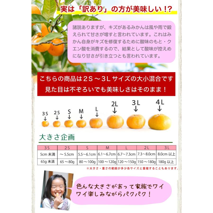 伊藤農園 みかん 5kg 訳あり フードロス 小粒 中粒 大粒 ミックス