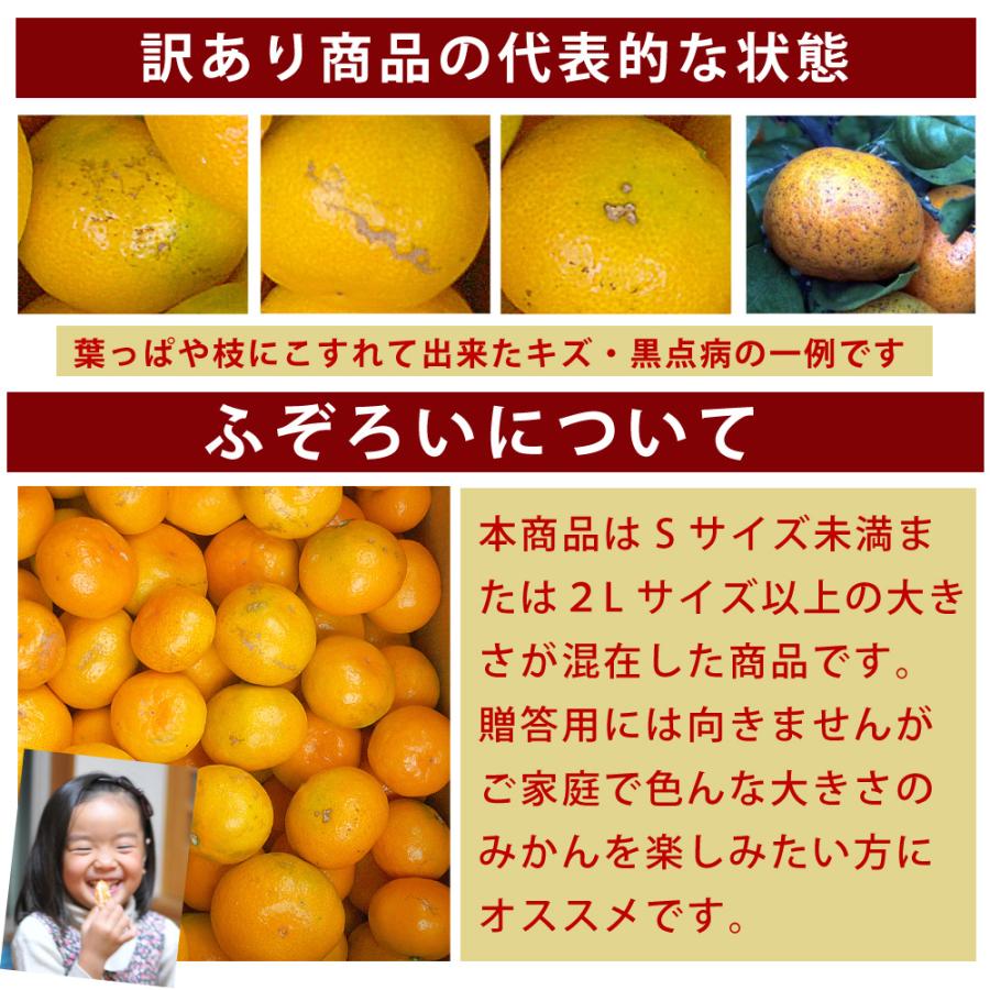 みかん 5kg 訳あり 小粒 中粒 大粒 ミックス 不ぞろい 和歌山 有田 家庭用 ミカン 果物 フルーツ :311-9:伊藤農園 ジュースと果実 Yahoo!店 - 通販 - Yahoo!ショッピング みかん 5kg 訳あり 小粒 中粒 大粒 ミックス 不ぞろい 和歌山 有田 家庭用 ミカン 果物 フルーツ :311-9:伊藤農園 ジュースと果実 Yahoo!店 - 通販 - Yahoo!ショッピング