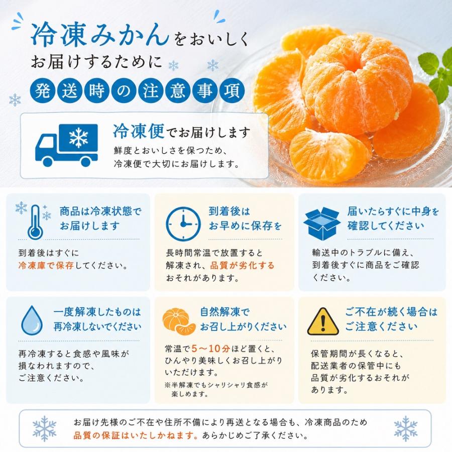 伊藤農園 お中元 みかん 冷凍 ひんやりむきみかん 24個入セット 送料