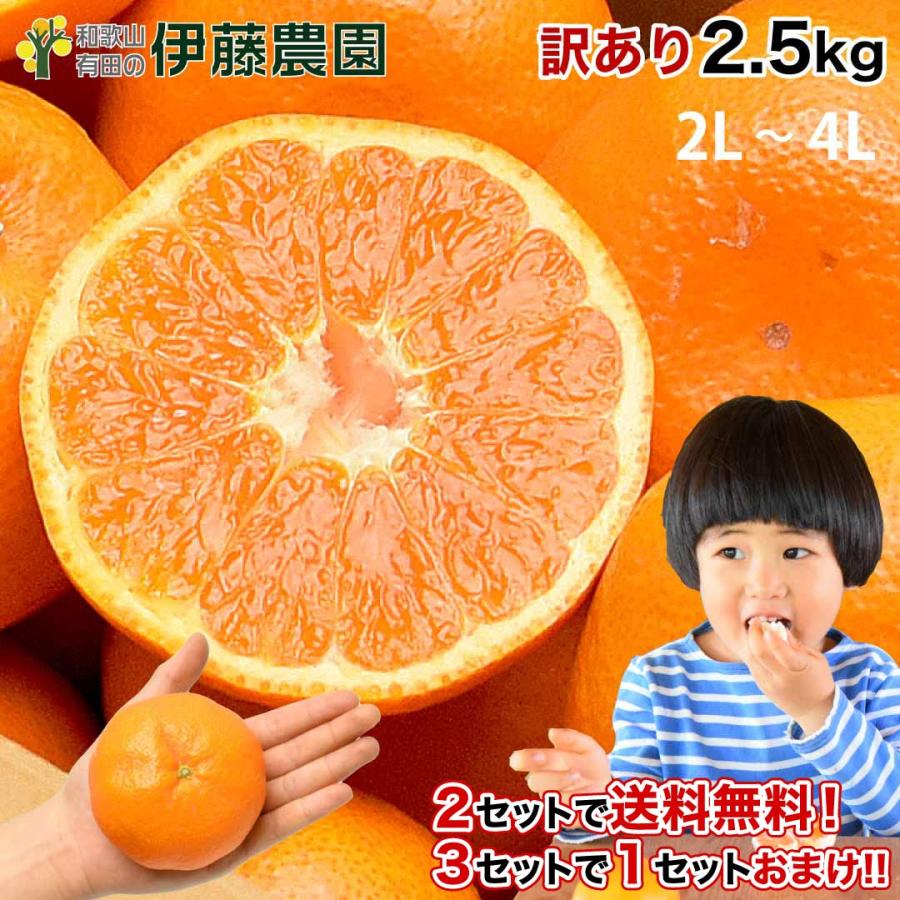 伊藤農園 年内発送 みかん 訳あり 2.5kg 送料無料 和歌山 自宅用 大玉