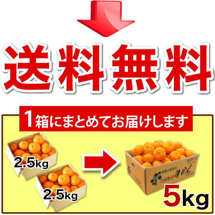 みかん 訳あり 2.5kg 送料無料 和歌山 自宅用 大玉 大粒 2Lサイズ〜3Lサイズ 混合 箱買い ご当地 お取り寄せ 粗選別｜ito-noen｜06