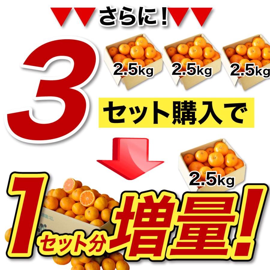 みかん 訳あり 2.5kg 送料無料 和歌山 自宅用 大玉 大粒 2Lサイズ〜3Lサイズ 混合 箱買い ご当地 お取り寄せ 粗選別｜ito-noen｜07