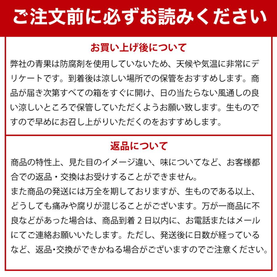 八朔 はっさく 10kg 和歌山みかん ハッサク 美品 贈答用 旬 みかん 送料無料 箱買いギフト 北海道 沖縄 送料 770円｜ito-noen｜15